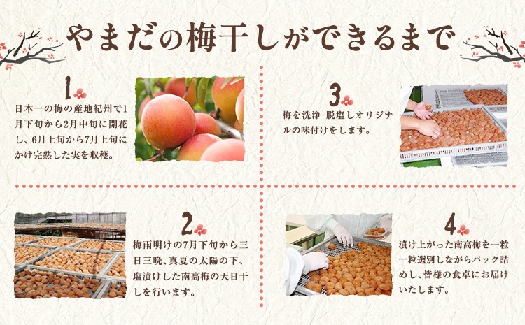 【G'z】和歌山県産　南高梅　（6月7月発送予定）約10㎏ G'z】和歌山県産 南高梅 （6月7月発送予定）約10