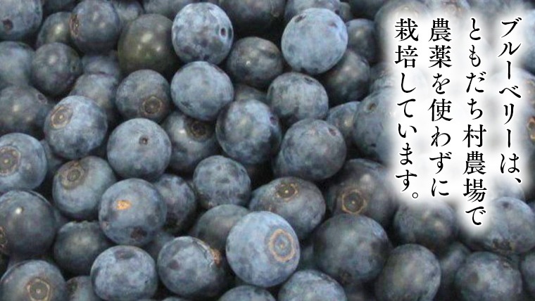 つくばみらい市 産 冷凍 ブルーベリー 800g ( 400g ×2パック ) 国産