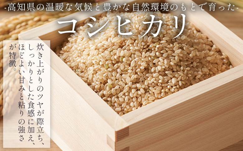 令和7年産】玄米 特別栽培米 コシヒカリ 玄米 30kg 【7日程度で発送