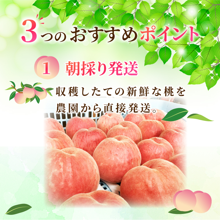 先行予約・数量限定】大子町産「桃」約3kg 品種おまかせ（あかつき