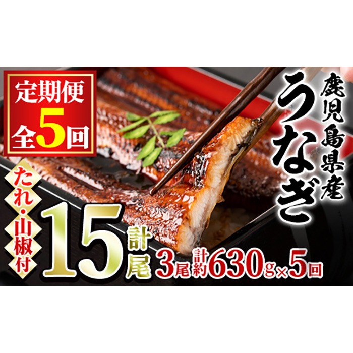 九州産うなぎ蒲焼 約900g（頭なしの形の良い限定品！）冷凍便 九州産うなぎ蒲焼 約900g（頭なしの形の良い限定品！）冷凍便