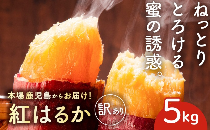 専用出品　teru様2Lサイズ紅南高15kg 南高5kg 訳あり＞さつま芋（紅はるか）5kg K396-001（鹿児島県鹿児島市