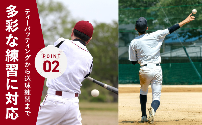 大阪堺市引き取り限定！バッティングネット 楽天市場】【法人限定】 バッティング ネットトーエイライト