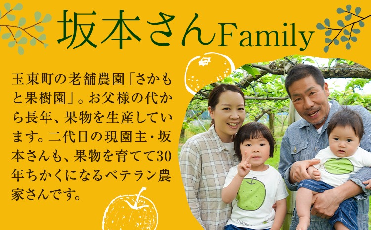 西南のひかり 約5kg さかもと果樹園《12月中旬-12月末頃出荷》熊本県