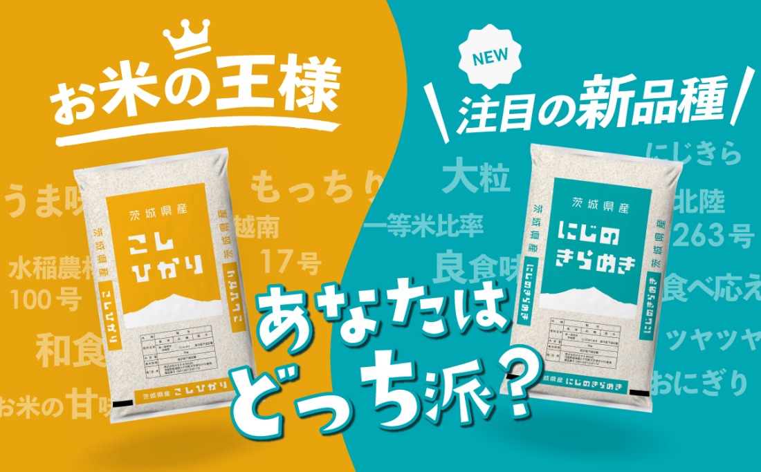 選べるお米 すぐ届く 7月 8月 5kg 10kg 令和6年産 こしひかり に