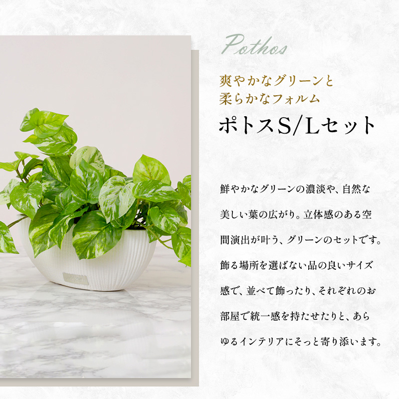 エミリオロバ　ポトス　新品 観葉植物 エミリオ・ロバ ポトス 2点セット 造花 Lサイズ Sサイズ つる