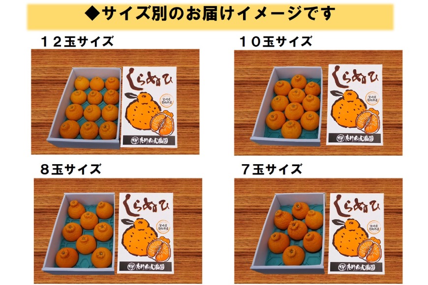 期間限定発送】じゅわーっと甘い 不知火 約3kg（ハウス栽培・化粧