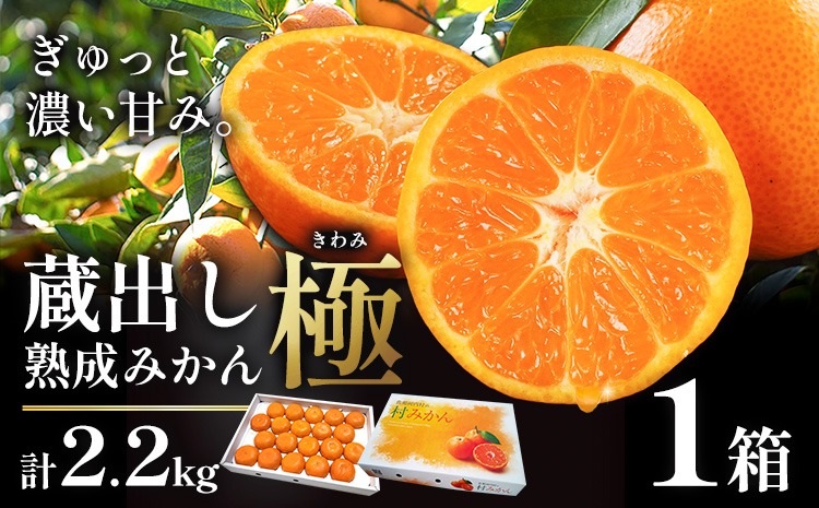 先行予約】蔵出し熟成みかん『極』 1箱 《2月中旬-2月末頃出荷