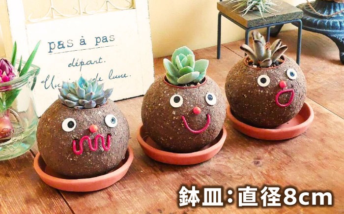 つちだくん2個セット 多肉 ポット セット 愛西市 / 花のひより園