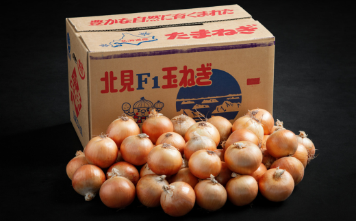 e3e398be-5018-4a13-80ce-