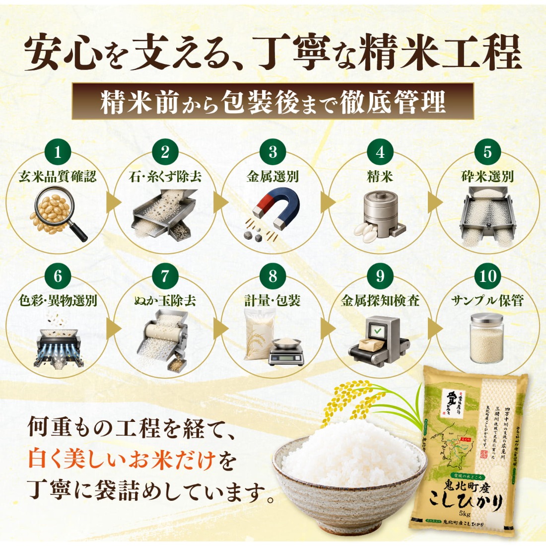 先行予約】【令和8年産】鬼北町産 こしひかり 10kg（5kg×2袋） 【米屋