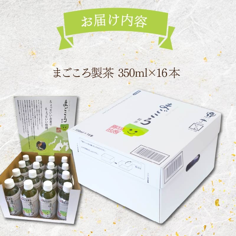 ペットボトル まごころ製茶 350ml 16本 セット お茶 藤枝茶 緑茶 日本