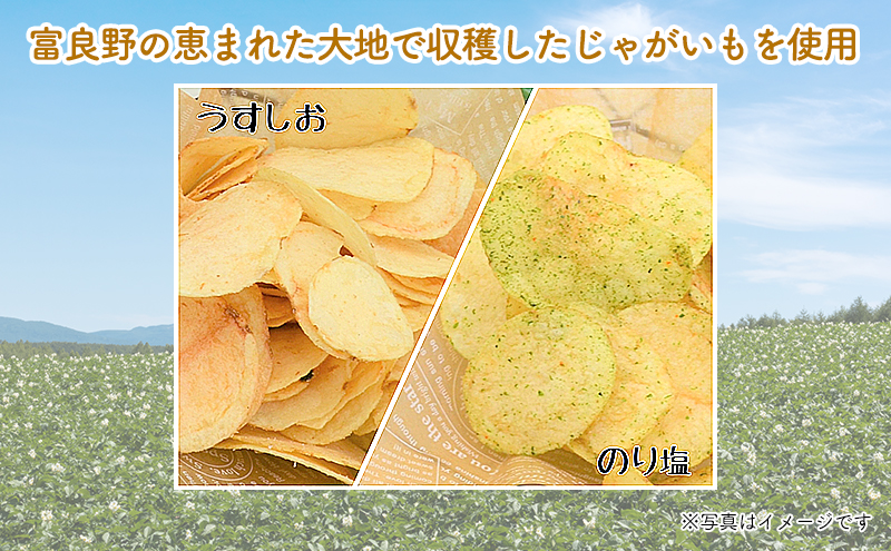 ポテトチップス 定期便 2ヶ月 北海道 ふらのっち 2種類(各12袋