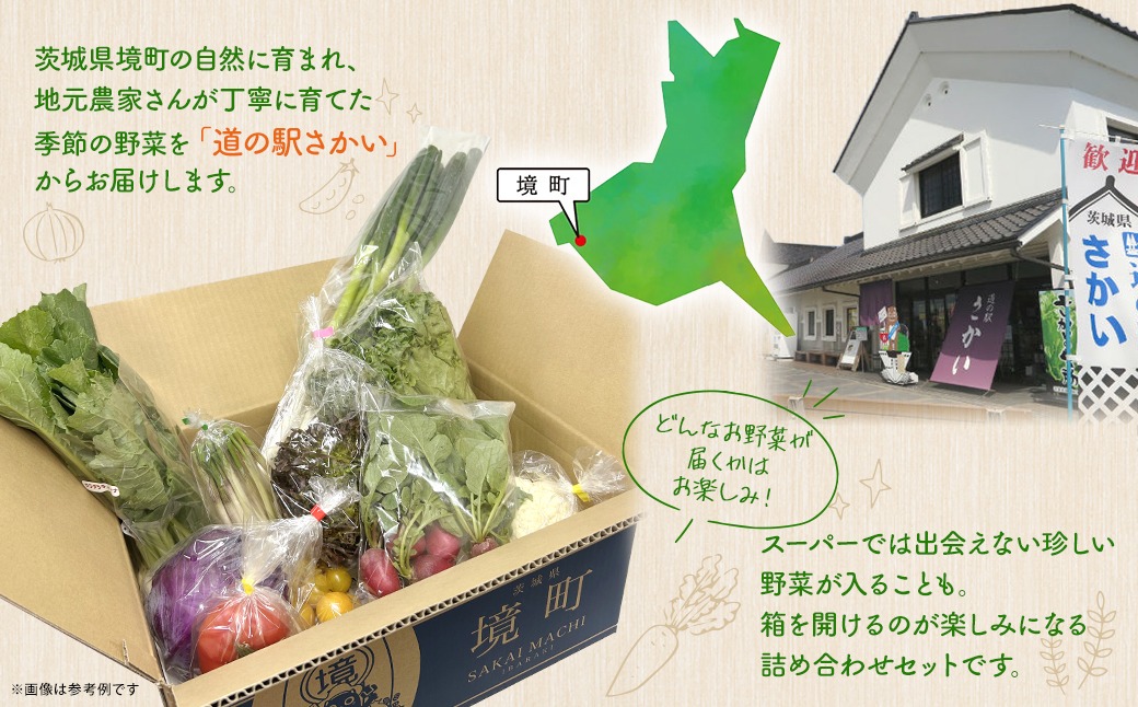 K1665 季節の野菜 「道の駅さかいオリジナル」駅⻑おすすめ野菜セット