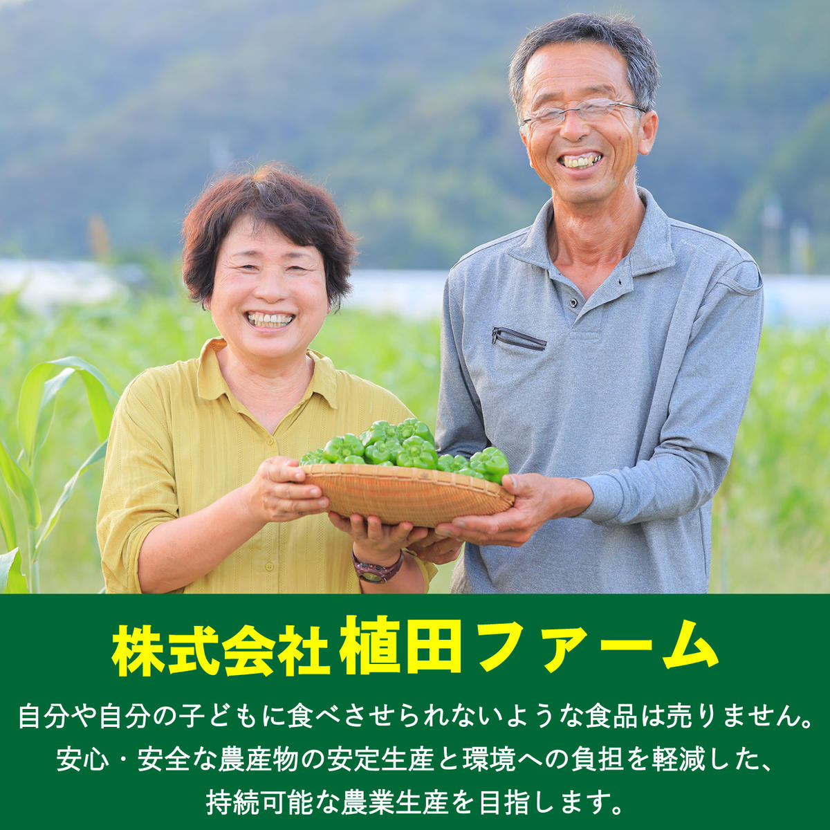 訳あり】 平戸にんにく 約2kg 乾燥 ニンニク 平戸にんにく 訳アリ わけ