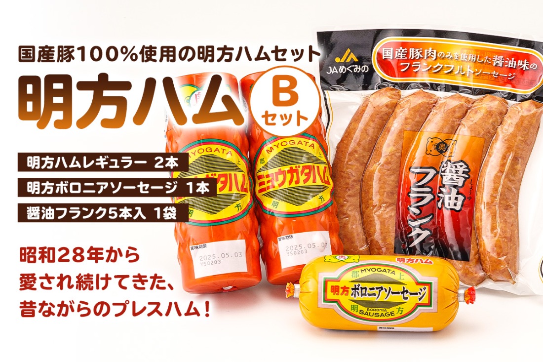 超格安価格 明方ハムBセット（明方ハム レギュラー 2本・明方ボロニア ラケット(軟式用)