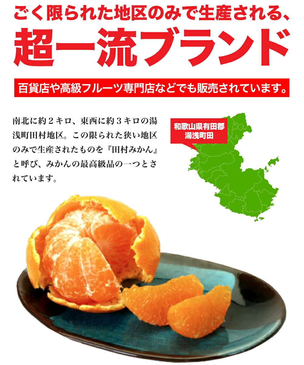 2026年先行予約】「高級 田村みかん」 青秀 約5kg Mサイズ 和歌山県