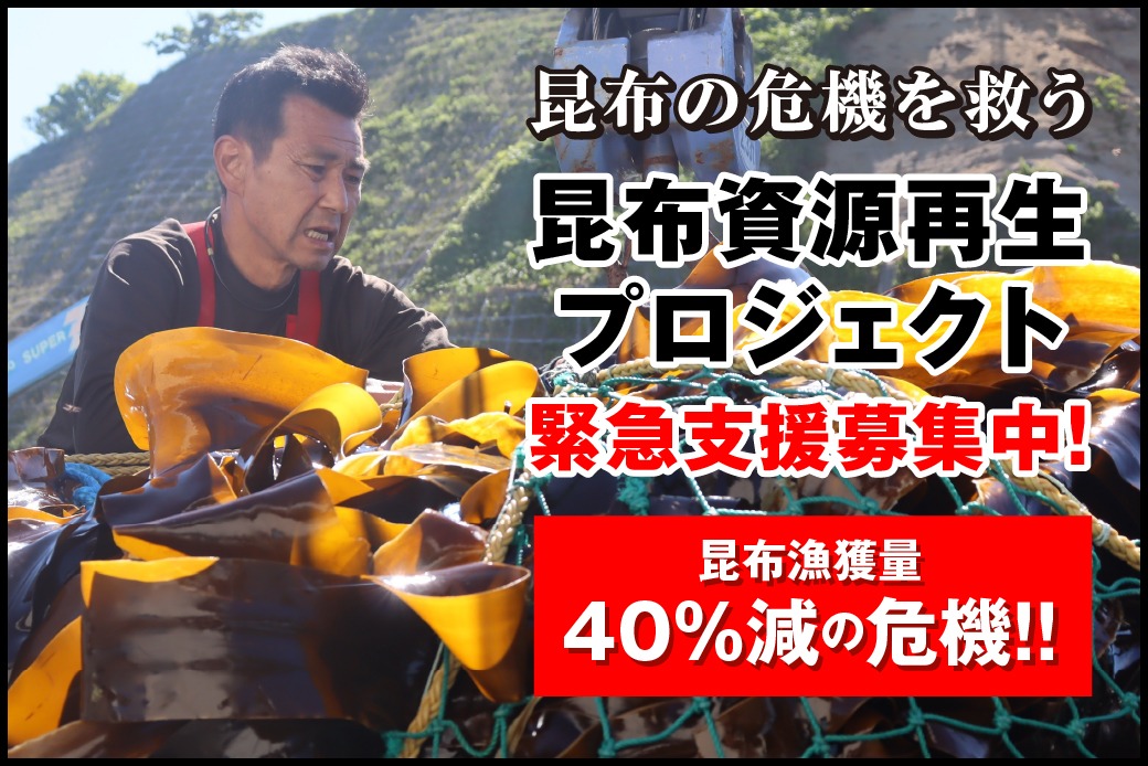 雑海藻から海を守り、日本の食文化である昆布の漁場を再生させる緊急プロジェクト