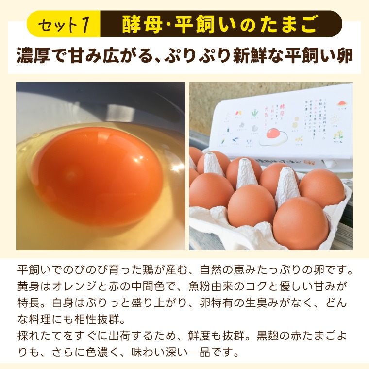 薄羽養鶏場の濃厚たまごを使用／ たまごセット 濃厚たまご＆絶品加工品