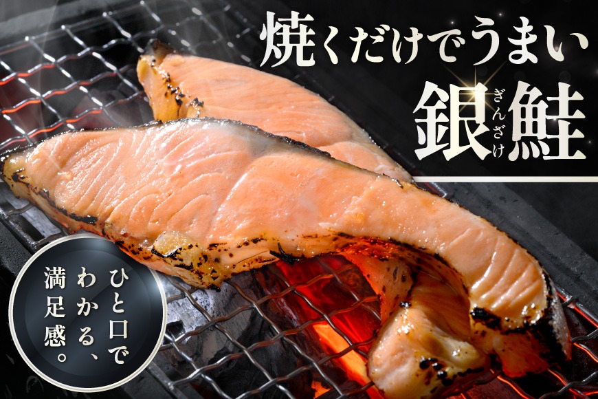 塩銀鮭切身 1.5kg 【MT000TZ00】（北海道別海町） | ふるさと納税