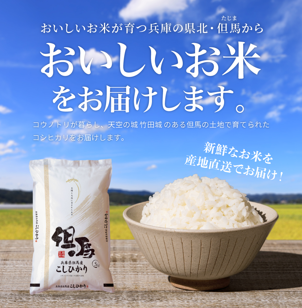 令和7年産 但馬産 コシヒカリ 特Aランク 5kg / 兵庫県産 こしひかり