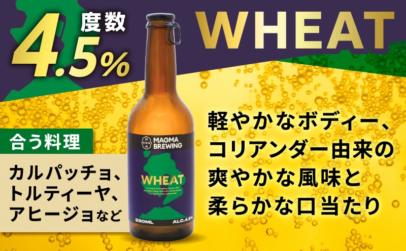 クラフトビール3本飲み比べセット K267-001（鹿児島県鹿児島市