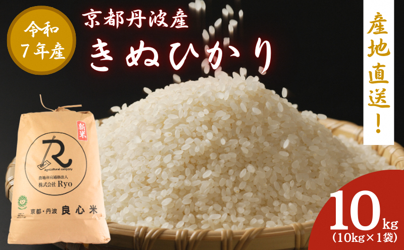 山梨県産　キヌヒカリ　10キロ 食品 山梨県産 キヌヒカリ 10キロ