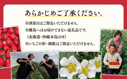 栃木おいしい会のいちご（とちあいか）260g×8パック（2080g）｜栃木県