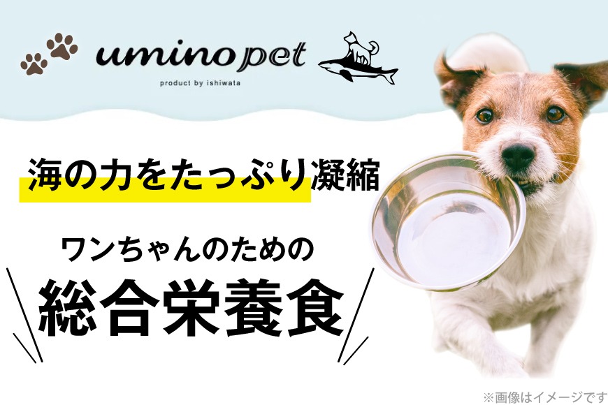 ドッグフード UMINO PET 総合栄養食 800g 4袋 [石渡商店 宮城県 気仙沼