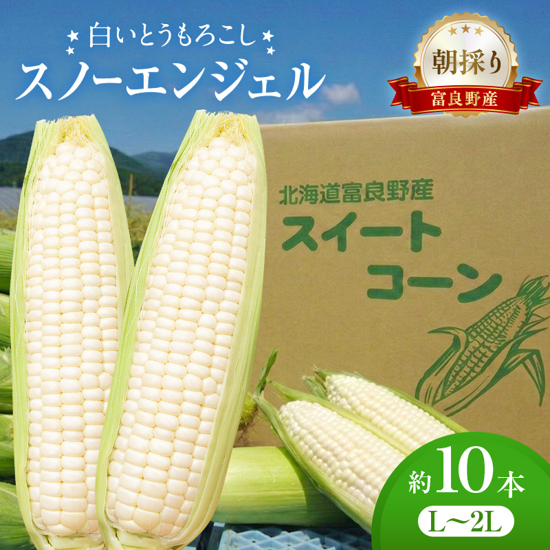 白いとうもろこし 「スノーエンジェル」 北海道富良野産 L～2L 約10本