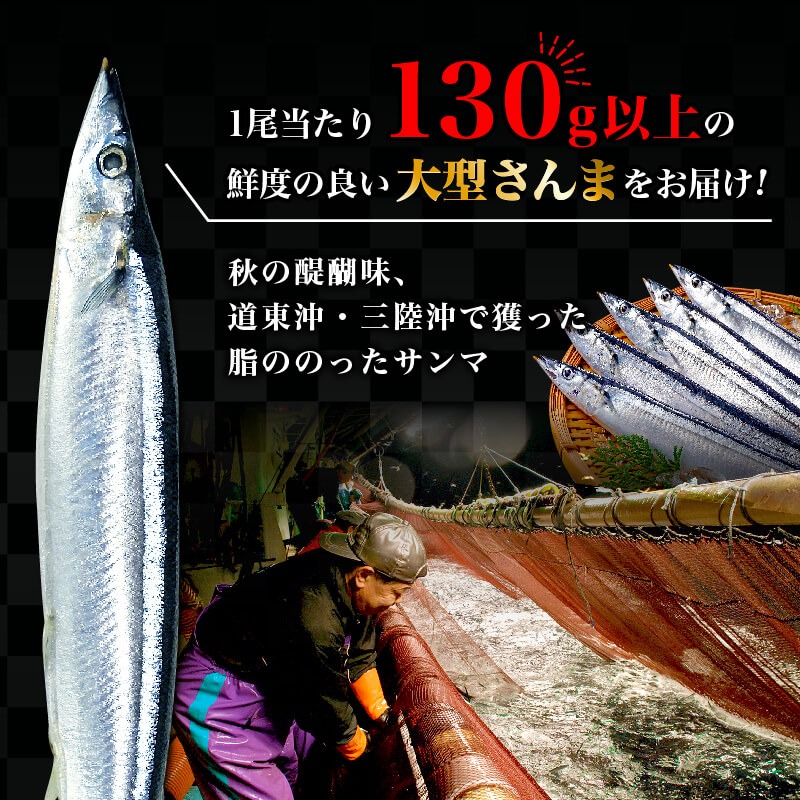 先行予約受付】 さんま 大型5尾 冷蔵 期間限定 [発送:2025年9月