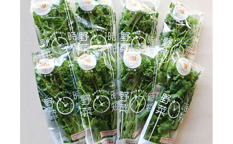 野菜セット ケール 8p 水耕栽培 葉物野菜 緑黄色野菜 洗わずに食べ