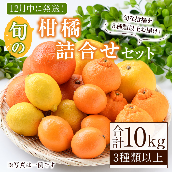 2026年12月発送分！＞旬の柑橘詰合せセット (約10kg) 国産 鹿児島県