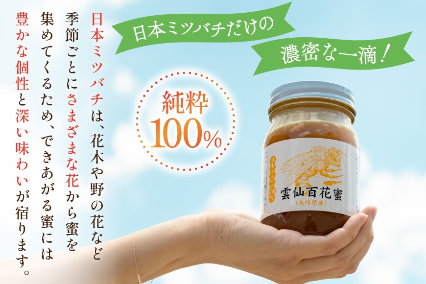 AJ446 はちみつ 国産 百花蜜 500g 2個 日本ミツバチ 純粋 100% [ 安中