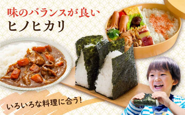 糸島産 ヒノヒカリ 20kg 糸島市 / 平山農園 米 白米 米 白米 ご飯 お米