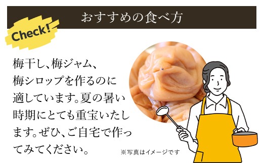 2026年発送分先行予約】旬をお届け!完熟梅【Lサイズ5kg