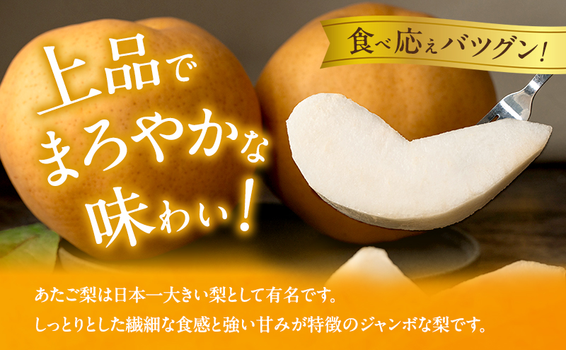 atsuko.様　山梨県産　至福の白鳳　EM栽培　贈答用化粧箱2kg箱 梨 2026年 先行予約 あたご梨 3～9玉 合計約4kg 化粧箱【11月下旬～12