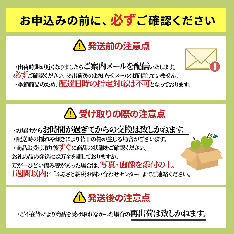 りんご 【4月クール便発送】 平均糖度13度以上 訳あり品 家庭用 CA貯蔵