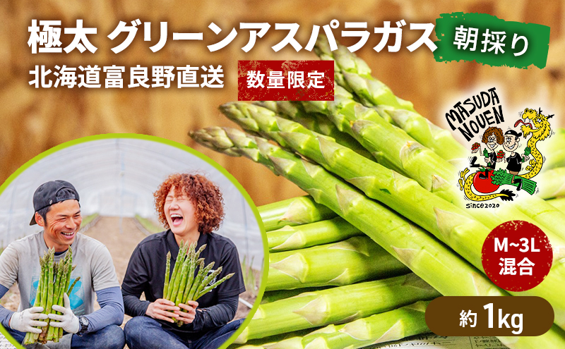 数量限定・2027年4月～発送】富良野 益田農園産 極太 グリーンアスパラ
