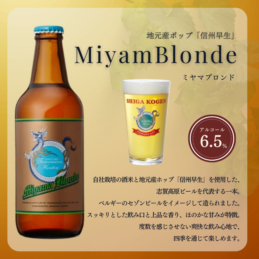 父の日 定期便 6ヶ月 志賀高原ビール6本セット ※WEB申込限定