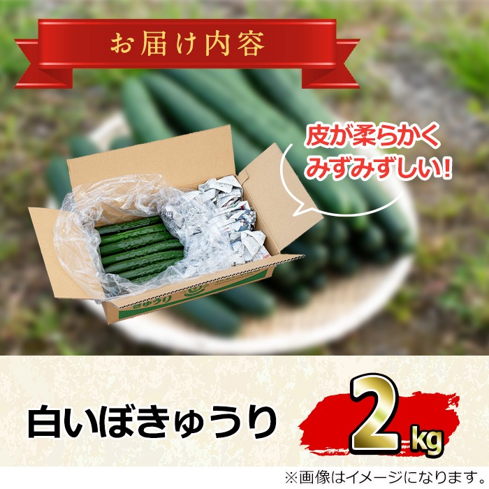 tmb03_081574-m4s.jpg?t=
