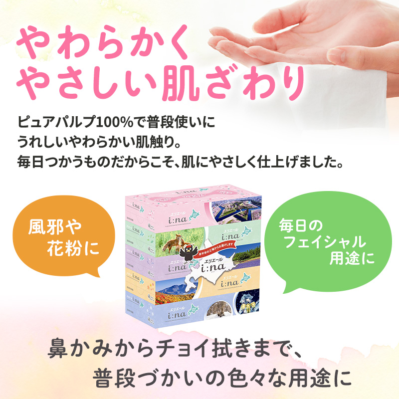 エリエール i:na (イーナ) ティシュー 北海道 150組 5箱×1パック 最短