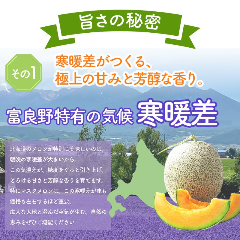 2027年夏発送】北海道 富良野 メロン 2Lサイズ 1.5kg以上×1玉 フルーツ