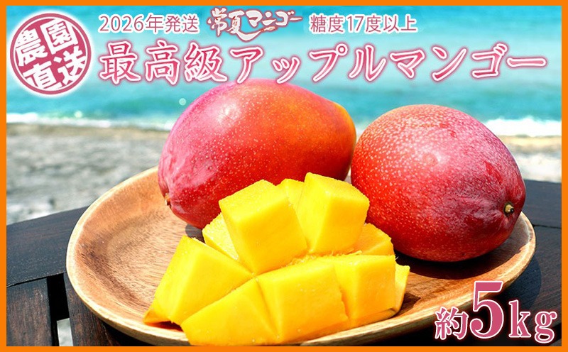 2026年発送】最高級 常夏アップルマンゴー！糖度17度以上 約5kg農園