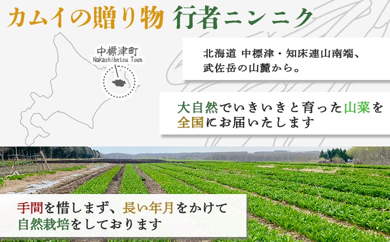 行者にんにく グリーン行者 葉部 3袋 ホワイト行者 茎部 2袋 計5袋
