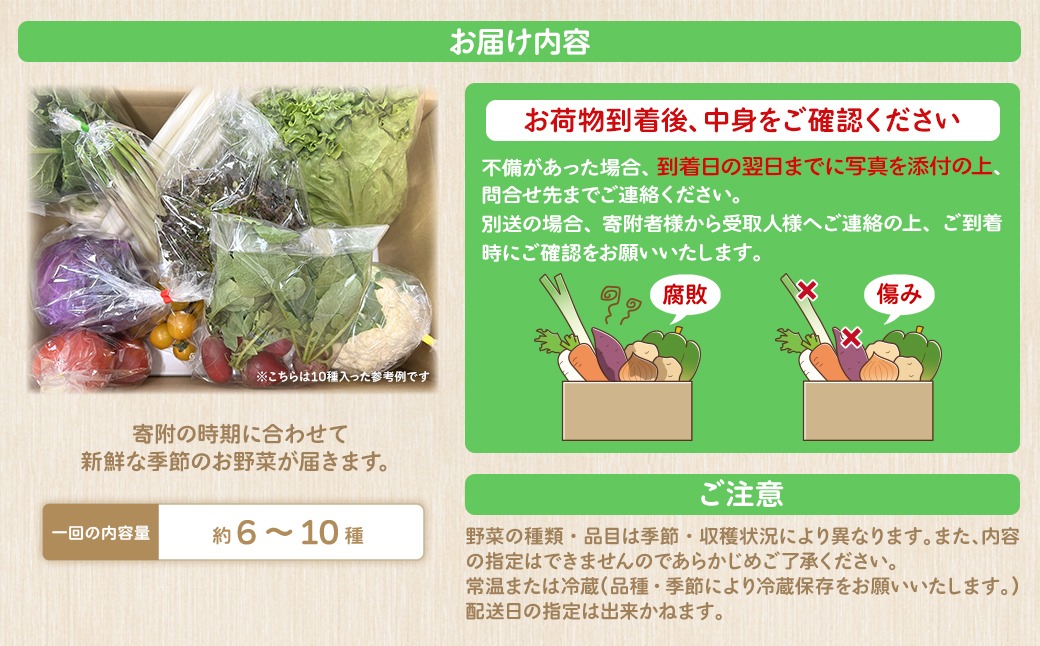 K1665 季節の野菜 「道の駅さかいオリジナル」駅⻑おすすめ野菜セット