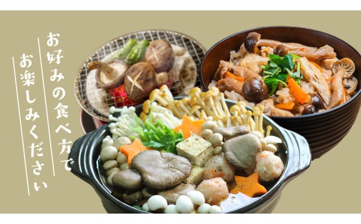 きのこ の 詰め合わせ Sサイズ ( 約1kg ) （茨城県共通返礼品：城里町
