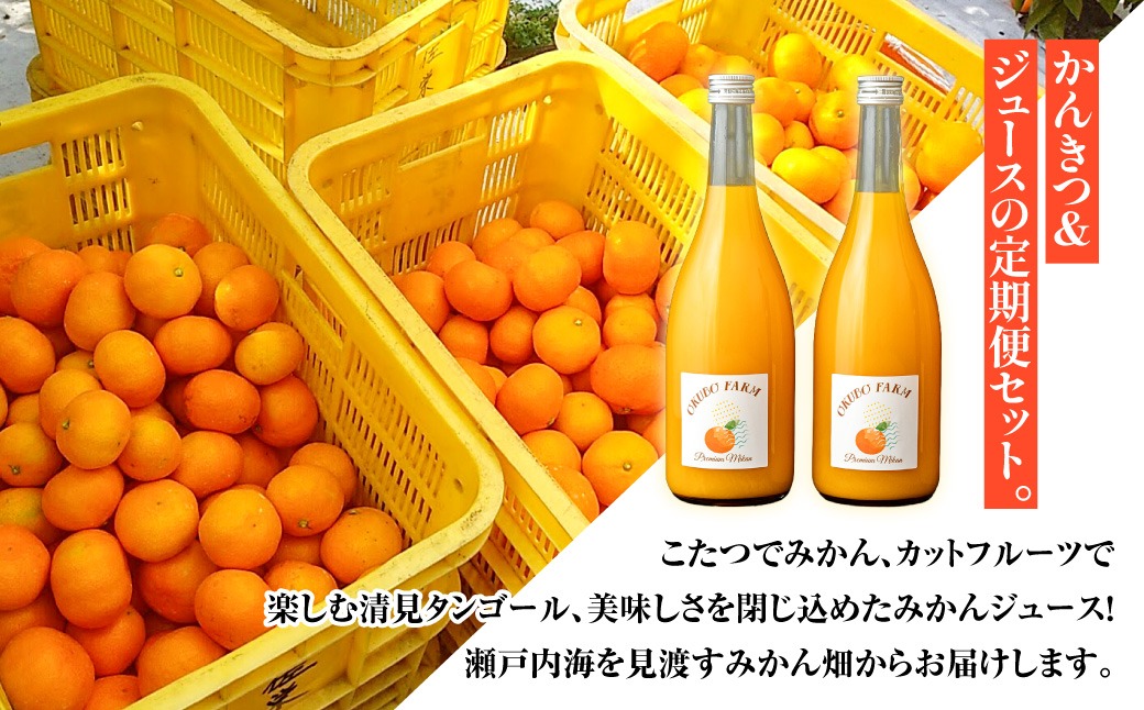 ジュース（みかん5本&伊予柑3本）＆愛果48号優品良品 M〜3Lサイズ箱込3kg 瀬戸の定期便 12月温州みかん(生果)5kg 3月清見(生果)3kg 7月Premium