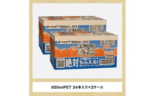 6ヶ月定期便】 伊藤園 健康ミネラル むぎ茶 （ PET ） 650ml×48本
