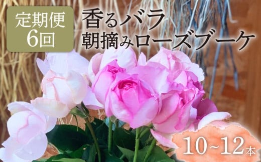 6ヶ月定期便】 バラ 花束 ブーケ 朝摘み 薔薇 花 ばら パフューム